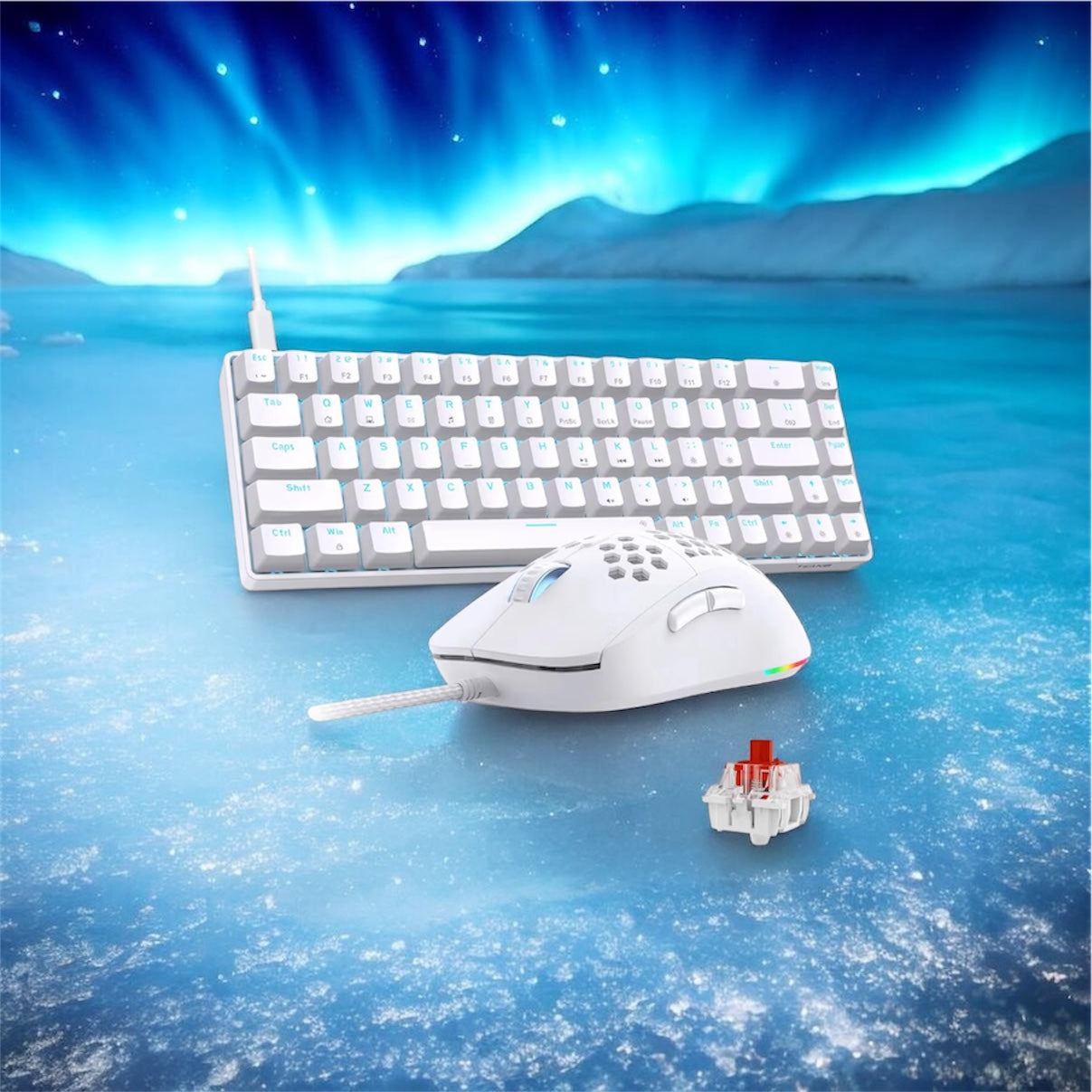 Keyboard and Mouse